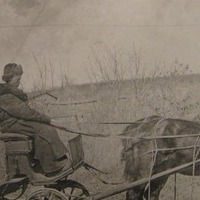 cwm_wwi_20020045-2598