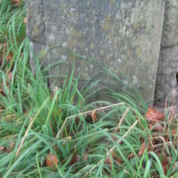 isitt_russia_cemetery_119