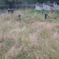 isitt_russia_cemetery_148