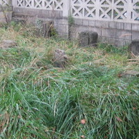 isitt_russia_cemetery_152