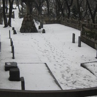 isitt_russia_cemetery_4