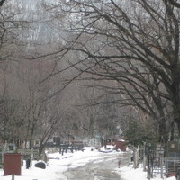 isitt_russia_cemetery_72