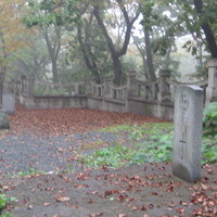 isitt_russia_cemetery_95