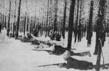 open a larger version of this image White troops in Siberia