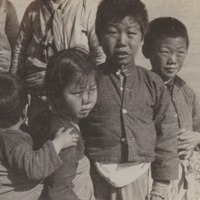 elkington_album_p11_2