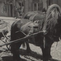 elkington_album_p12_5
