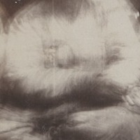 elkington_album_p16_4