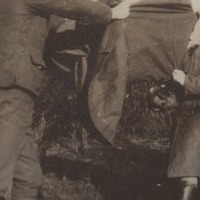 elkington_album_p20_2