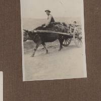 elkington_album_p21