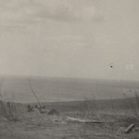 elkington_album_p6_3