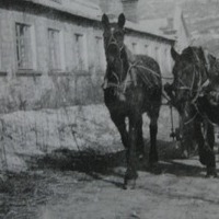 lac_rcmp_72-51-10