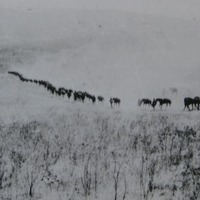 lac_rcmp_72-90-27