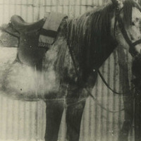 mukhachev_5