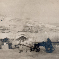 stephenson_album_p8_1