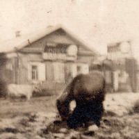 stephenson_album_p9_2